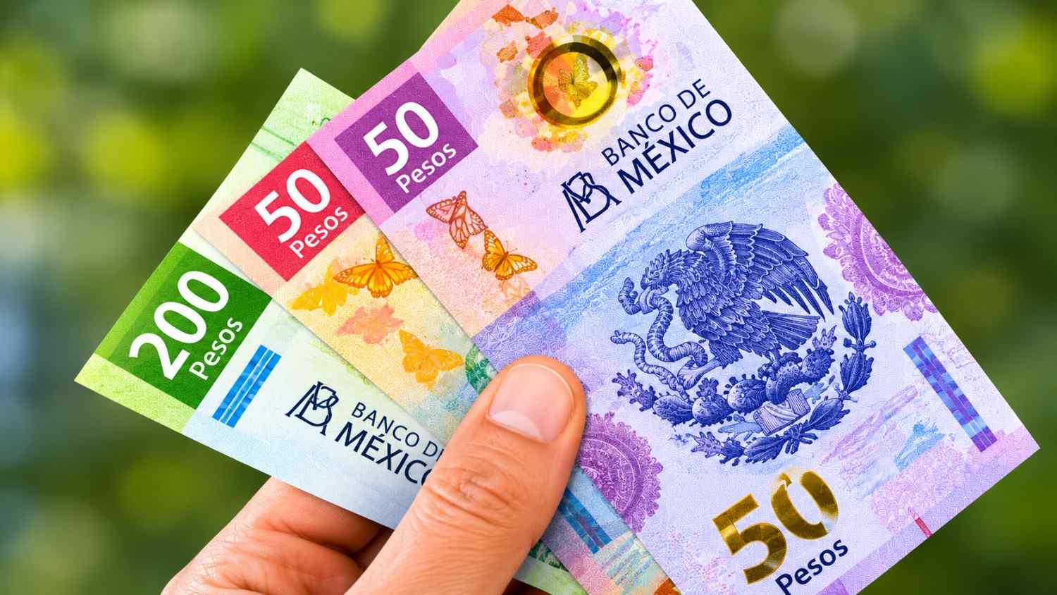 Apoyo jóvenes México 2026