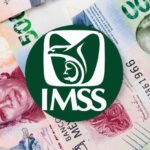 Calendario pensión IMSS: fechas de pago para Ley 73 y Ley 97