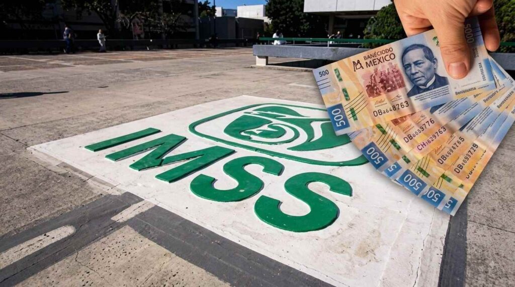 Viudez IMSS concubinato